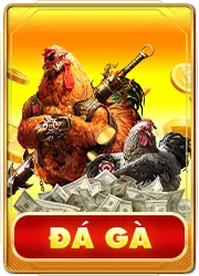 frame đá gà