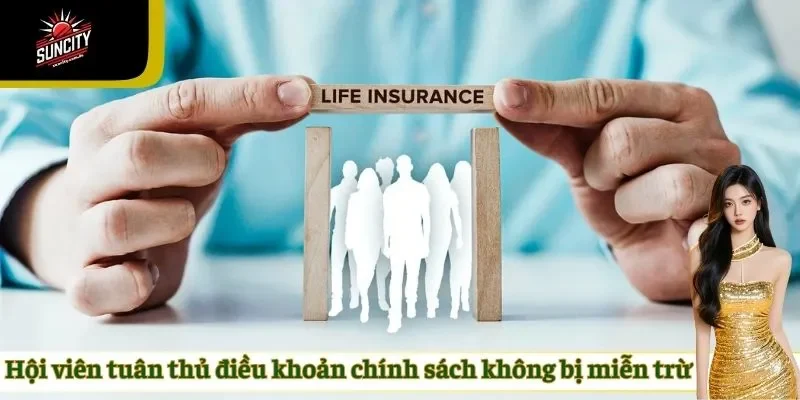 Hội viên tuân thủ điều khoản chính sách không bị miễn trừ